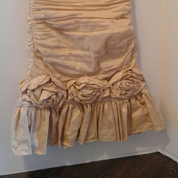 BCBG Champagne Cocktail Dress - Picture 3 of 7